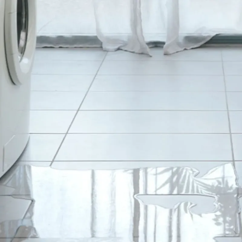 Appliance Leak Cleanup in Milledgeville, GA