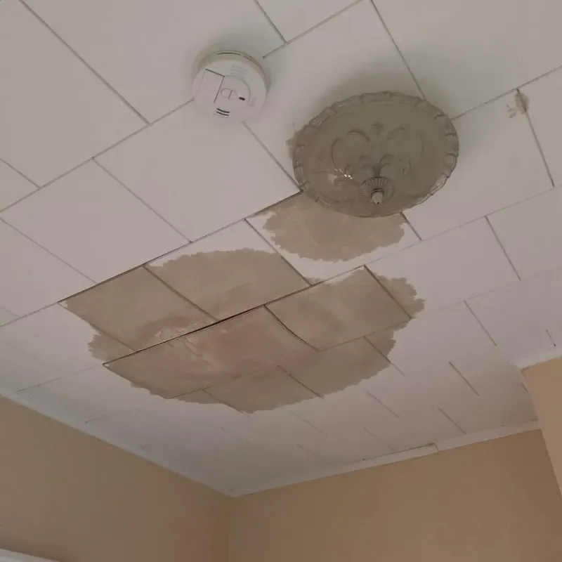 Ceiling Water Damage Repair in Milledgeville, GA